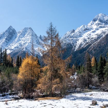 成都+四姑娘山+鱼子西+墨石公园景区5日4晚私家团