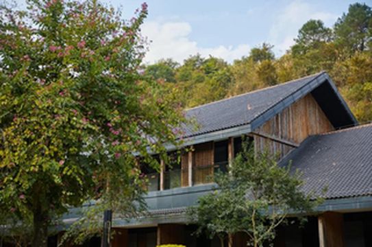 早春已至，送你一家适合“迎春”的森林别墅酒店，带娃去寻找别样的春天