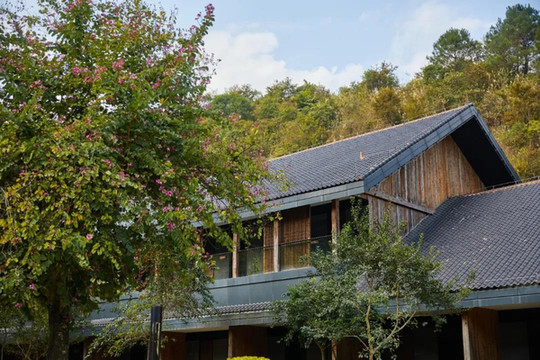 早春已至，送你一家适合“迎春”的森林别墅酒店，带娃去寻找别样的春天