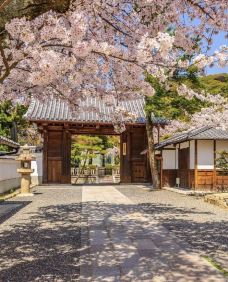 京都御所-京都-hiluoling