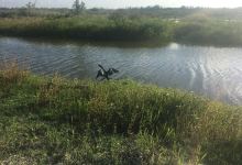 安邦河湿地公园景点图片