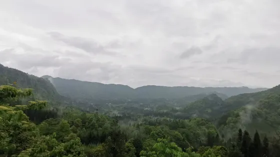 蘆山圍塔漏斗觀景台