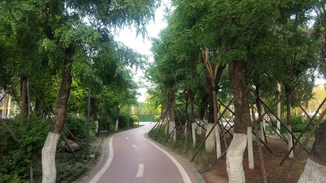 皂角园旅行图片 1