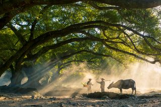 小众旅游地：福建宁德，赏惊艳之美