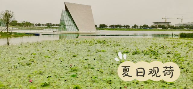 光年城中央公园旅行图片 3