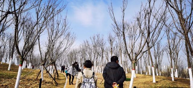 长安城市公园(樊川公园)旅行图片 4