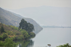 洱源游记图片] 大理洱源茈碧湖的梨园村，首次品美食赏风景，非常值得！