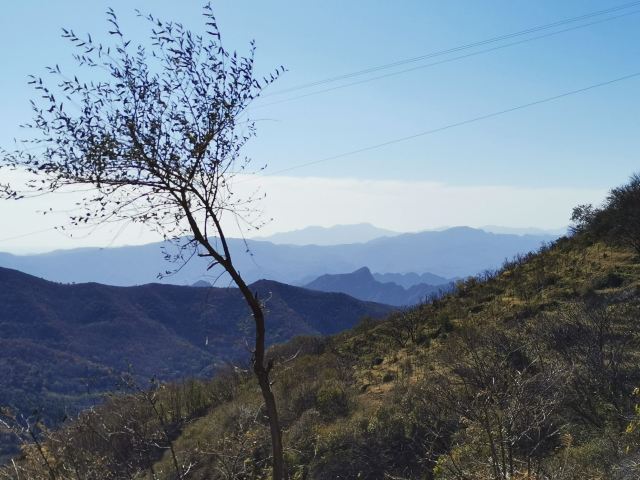 玫瑰谷旅行图片 6