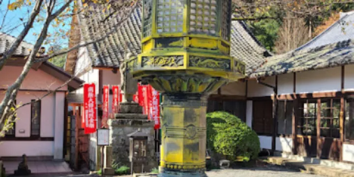 修善寺自然公園 もみじ林
