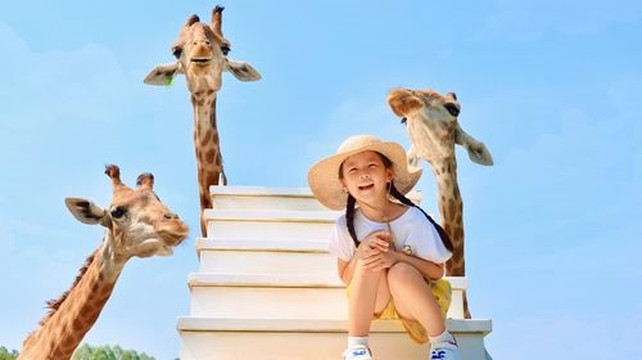 黄龙溪欢乐田园一日游