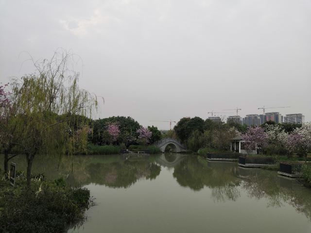 华阳湖国家湿地公园旅行图片 8