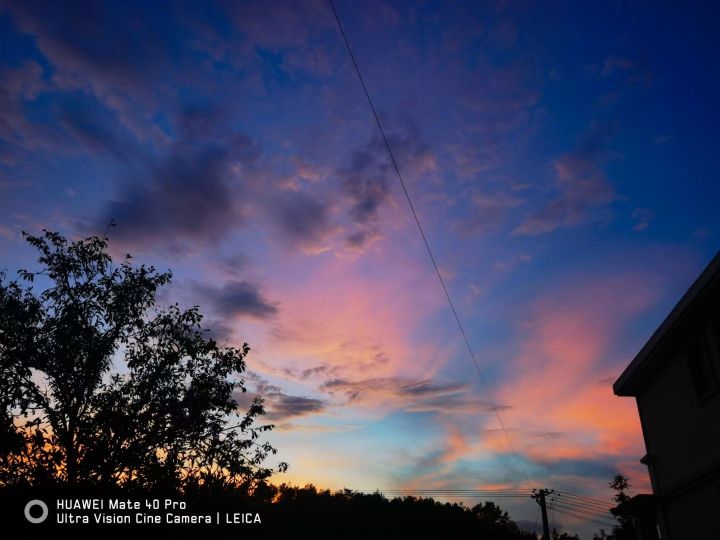 Arriba Restaurant餐厅图片