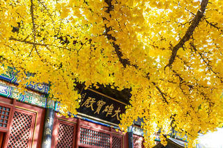 京北巨刹,千年历史的怀柔红螺寺,登高赏秋的绝佳之地