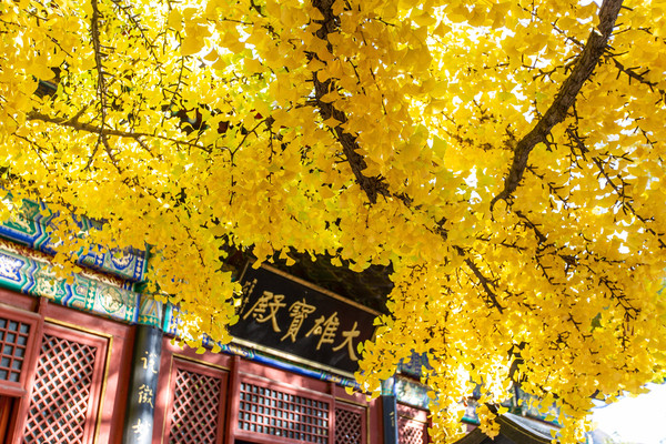 京北巨刹，千年历史的怀柔红螺寺，登高赏秋的绝佳之地