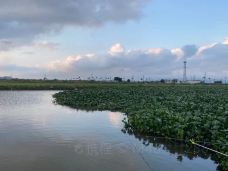 华发水郡省级湿地公园-珠海-YoYo_9W6H8I1Y