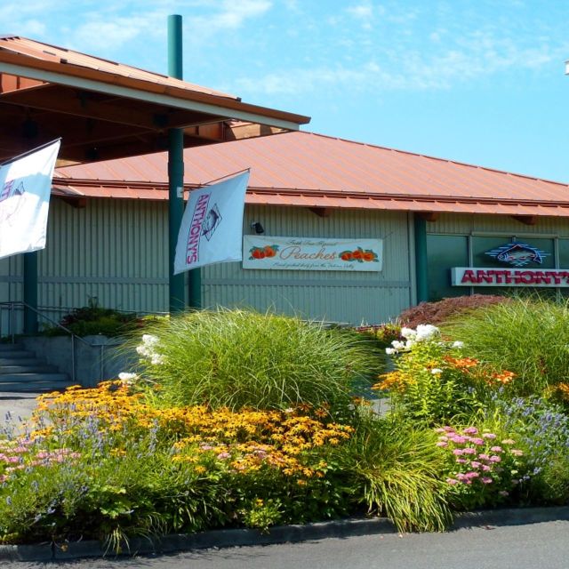 Anthony's Homeport Olympia