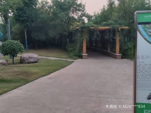 洪河湿地公园