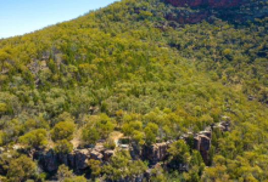 Weddin Mountains National Park景点图片