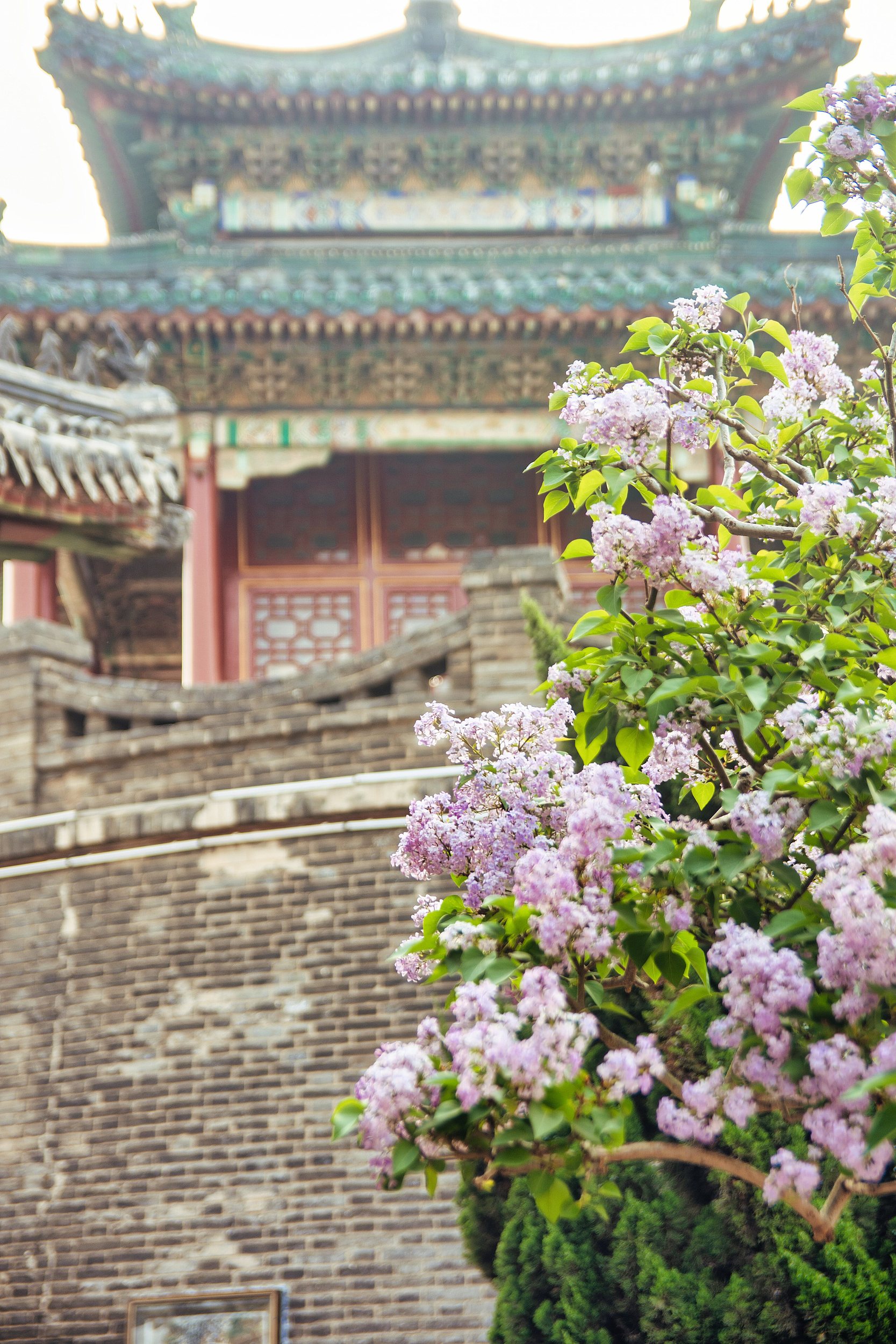 2-Day Handan Tour: Congtai's ancient charm, Guangfu Ancient Town and Xiang Tang Mountain caves