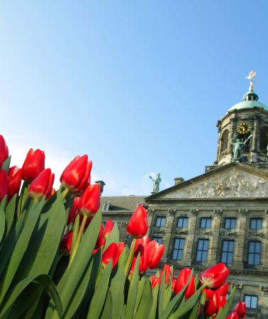 10D9N • Amsterdam, Paris & London — Iconic Europe journey