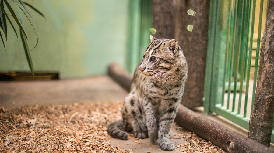Prague Zoo