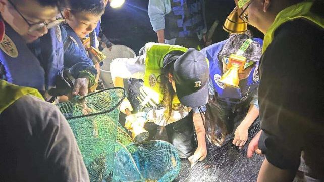 友蓝桨板冲浪赶海溯溪趣野营地