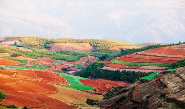 乐谱凹旅行图片 1