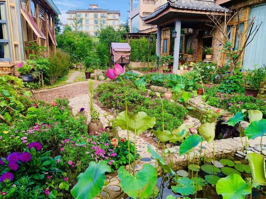 到丽江享受慢生活