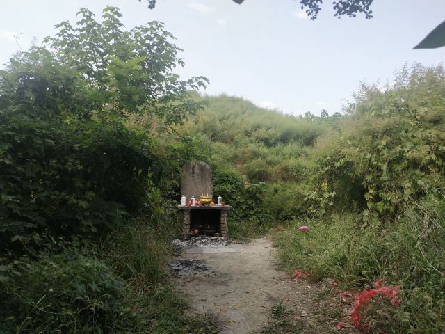 姜子牙墓旅行图片 1