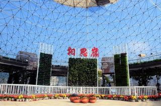 【元洪附小—研学实践】『热爱劳动,爱惜粮食』自然课程体验!