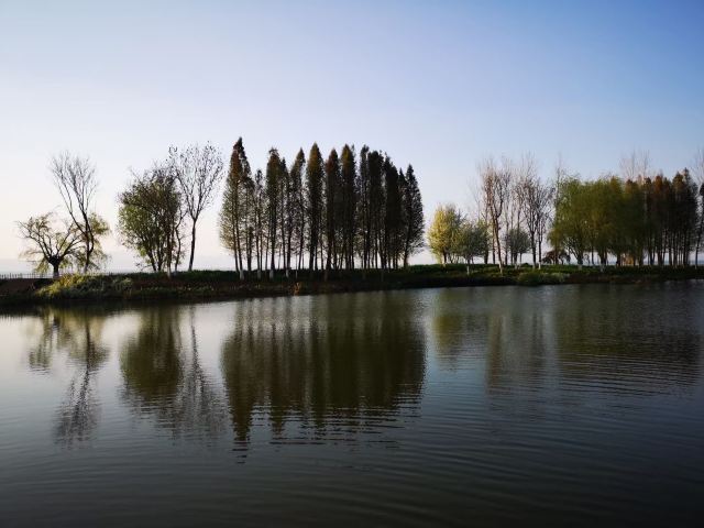 斗南湿地公园旅行图片 2
