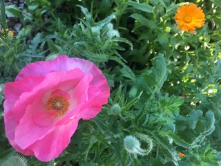 泸沽湖——袅袅炊烟&碧波涟涟