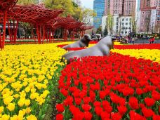静安雕塑公园-上海-amydog