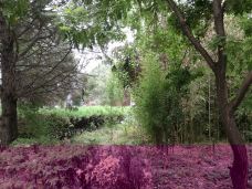 敕建三义宫-涿州-YoYo_4Y4S3V4Z