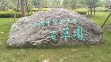 上海中医药博物馆-上海-chenweiwen