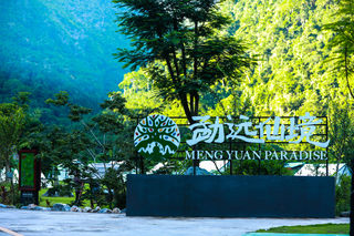 夏天，就该去露营！