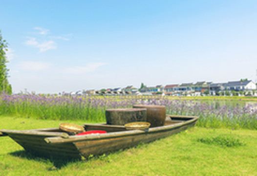 阳澄湖游记图片] 风车、蝉鸣、蛙叫，在哪里都热的夏天，二亩塘我可以待上一天