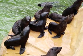 北海海底世界+北海老街+北海银滩+侨港风情街一日游【私家团】【私家小团丨小众玩法丨纯玩无购丨独立包车丨行程可调丨随停随走丨时间自由丨上门接送】