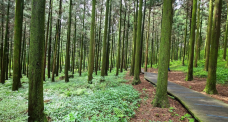 Jujaksan Nature Recreation Forest-康津郡-C-IMAGE