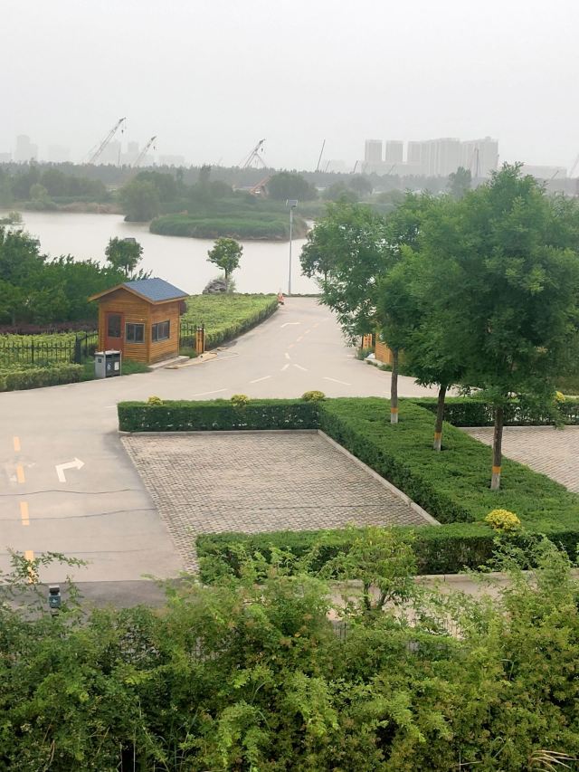灞渭生态滩区旅行图片 1