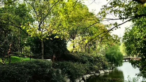 蕪湖文化公園
