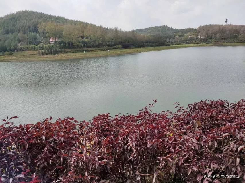 莲花山景区