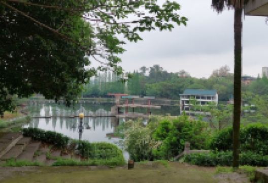 永州怀素公园景点图片