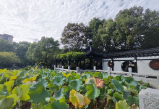 梅园景点图片