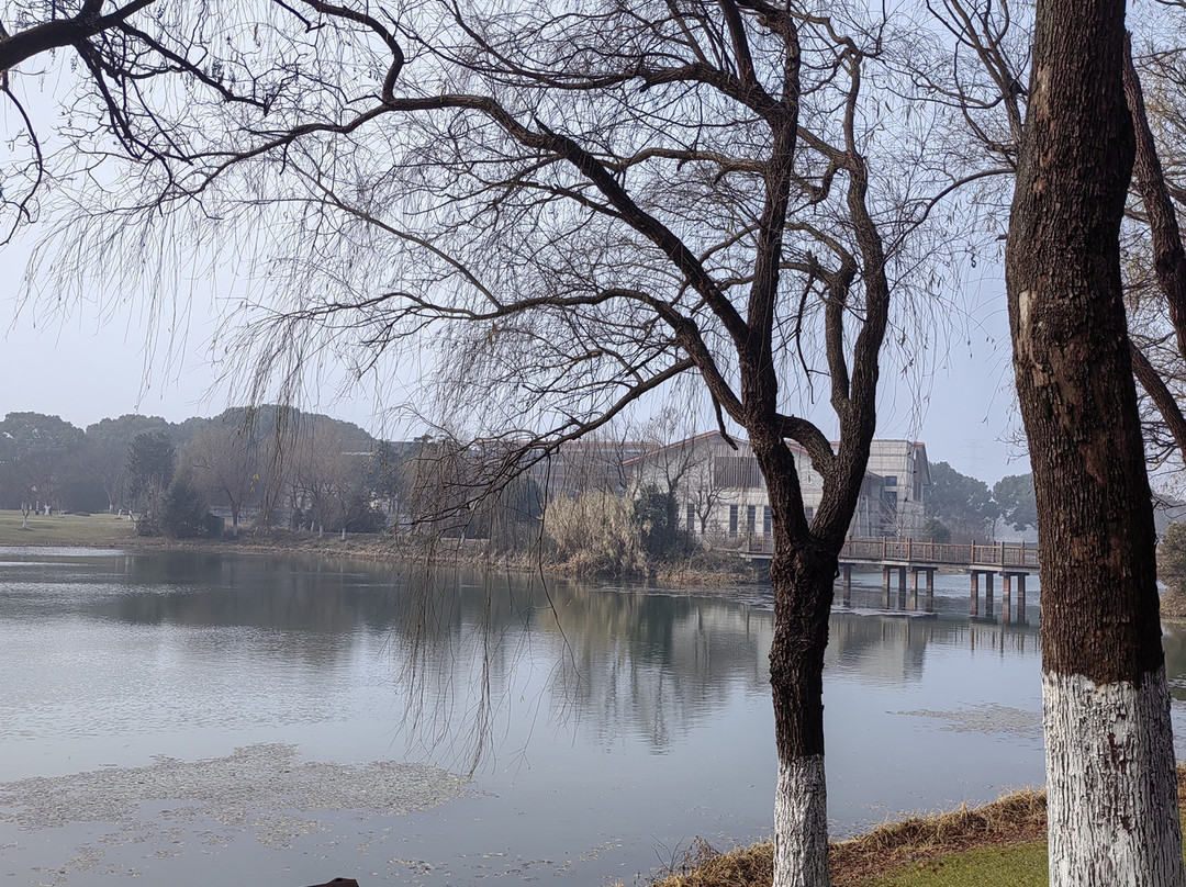 昆山花桥中城假日酒店主图