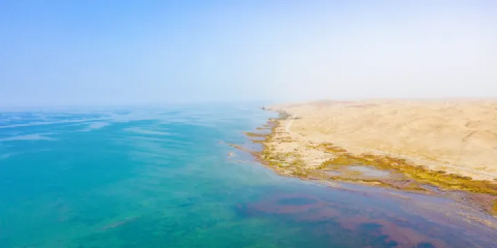 博斯騰湖-白鷺洲