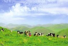 南山风景名胜区景点图片