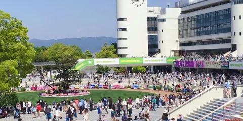 京都競馬場