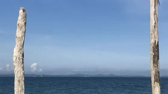 豐盛港