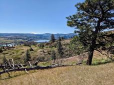 Catherine Creek Day Use Area/Trailhead-克利基塔特县-Laird_Torrance